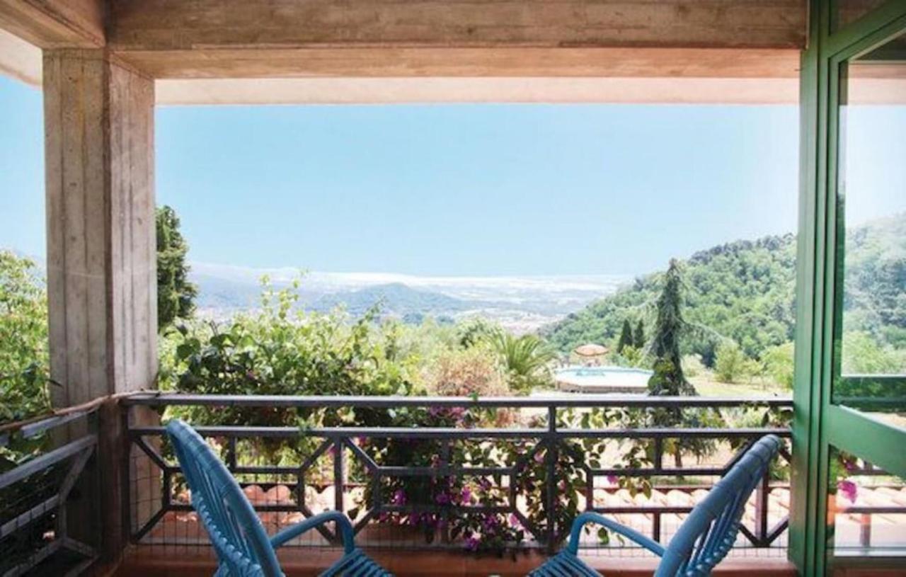 Villa Las Palmas By Nicola Real Estate Corsanico-Bargecchia エクステリア 写真