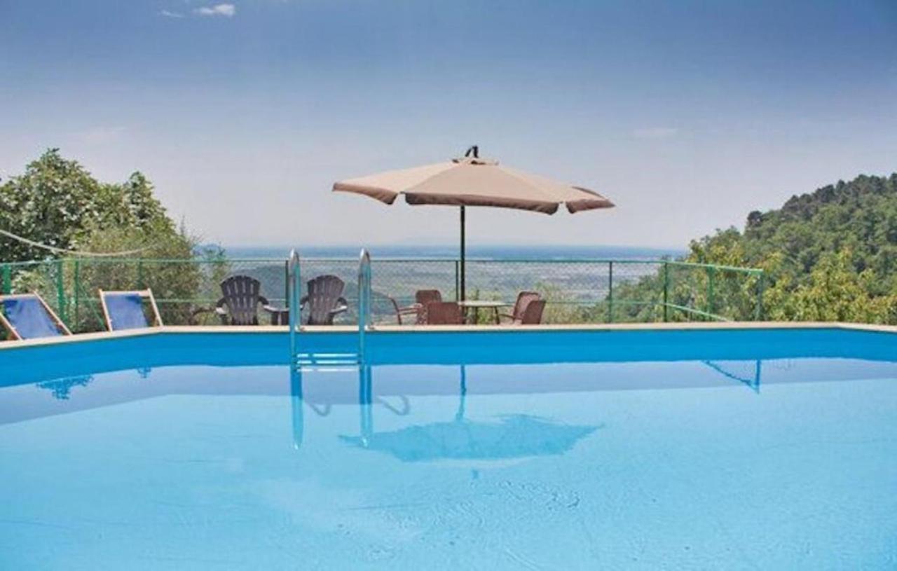 Villa Las Palmas By Nicola Real Estate Corsanico-Bargecchia エクステリア 写真