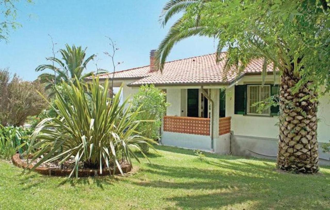 Villa Las Palmas By Nicola Real Estate Corsanico-Bargecchia エクステリア 写真